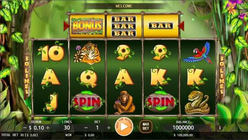 Play Wild Silver Slots by Intouch Games