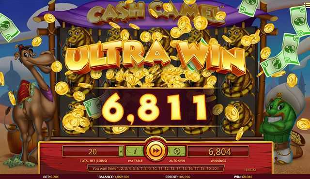 Slot Cash Camel