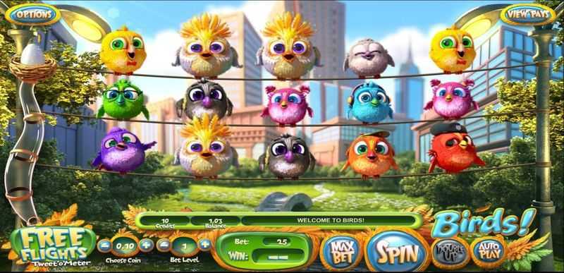 Play Formosan Birds by Ka Gaming