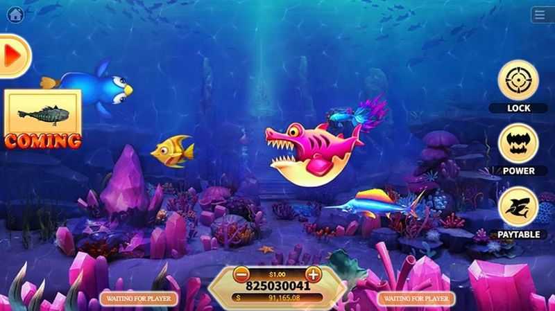 Play Hungry Shark by Ka Gaming