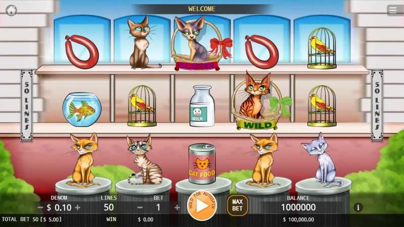 Play Kitty Living by Ka Gaming