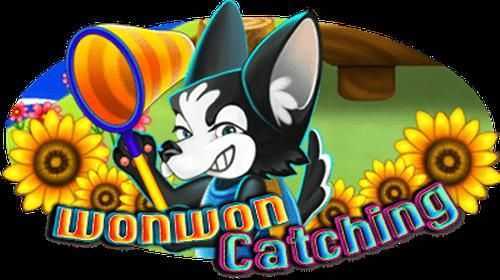 Play Won Won Catching by Ka Gaming