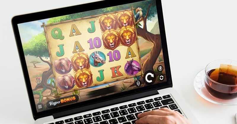 Slot Safari Chase Hit 'n' Roll