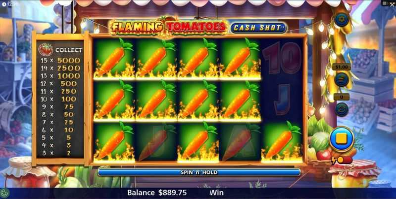Flaming Tomatoes: Cash Shot Flaming Tomatoes: Cash Shot