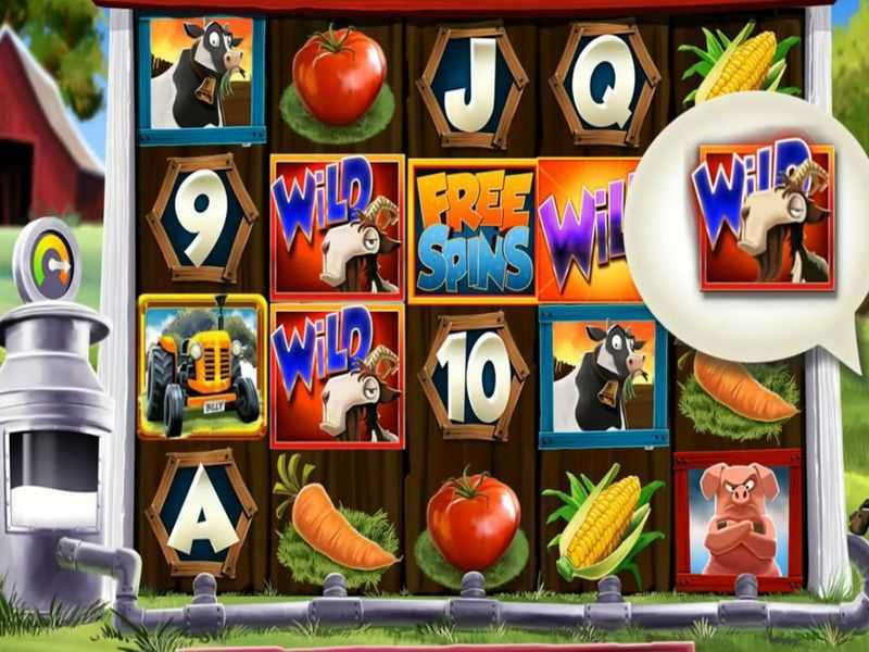 Play Billy Gone WIld by Live 5