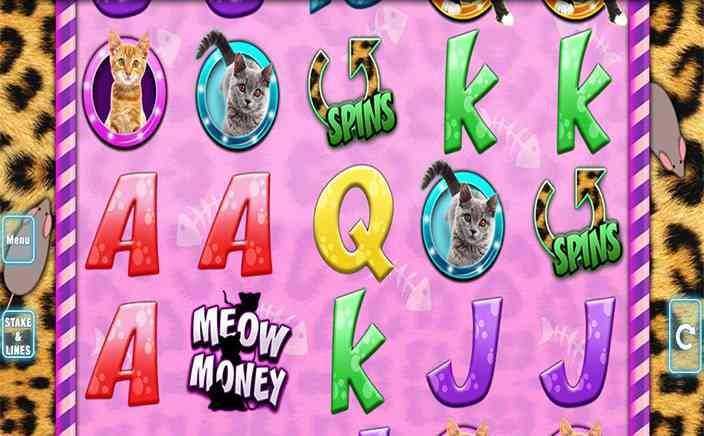 Play Meow Money by Nektan