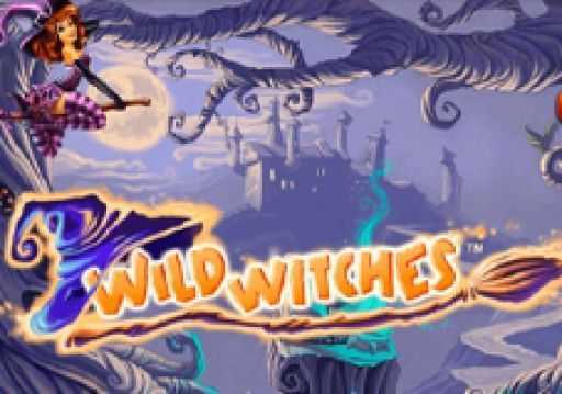 Play Wild Witches by Netent