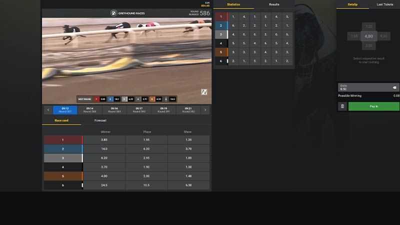 Play Greyhound Races by Nsoft