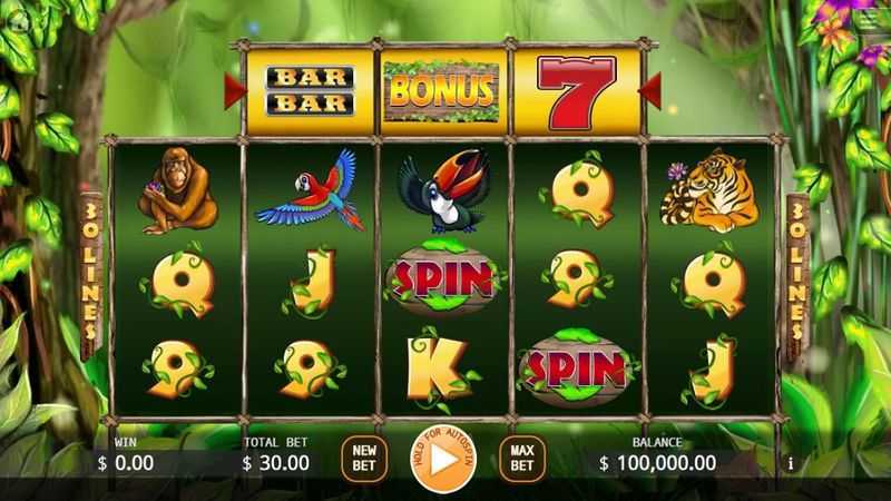 Play Jungle Family by Nsoft