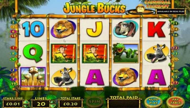 Play Jungle Bucks by Openbet