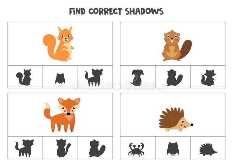 Play Shadow Forest by Other