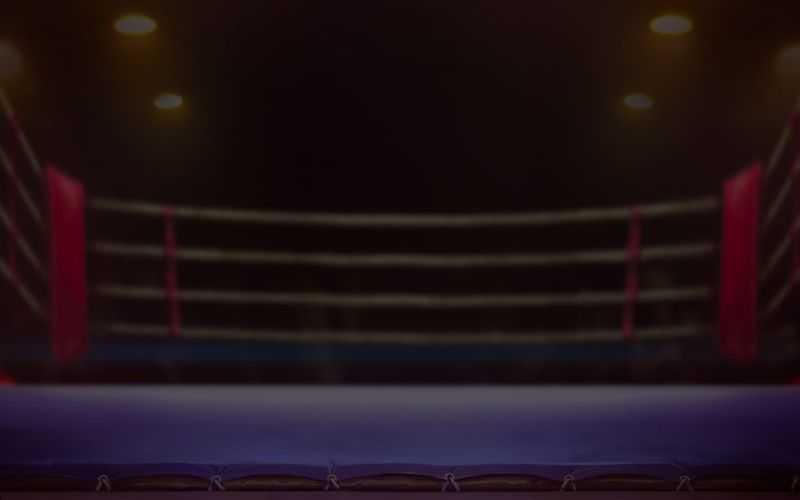 Play Muay Thai Champion by Pg Soft
