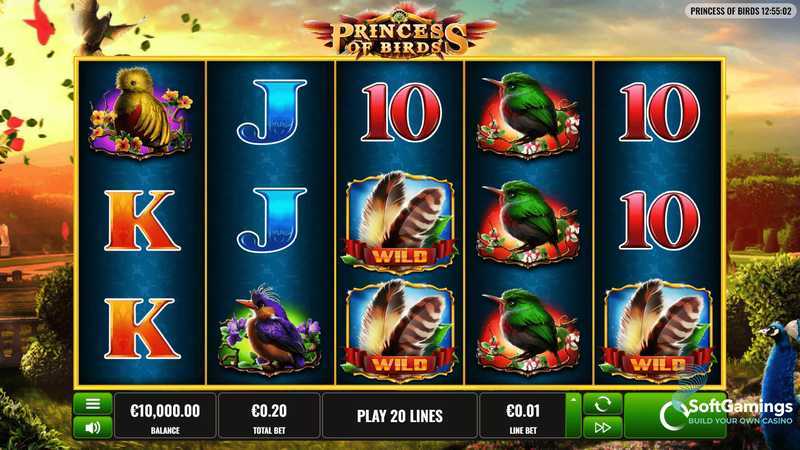 Play Princess of Birds by Platipus