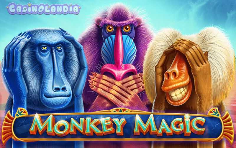 Play Monkey Magic by Playbro