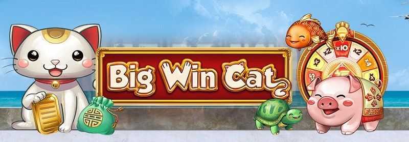 Slot Big Win Cat