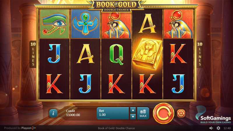 Slot Book of Gold: Double Chance