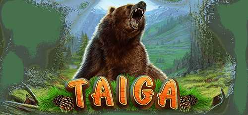 Play Taiga by Playson
