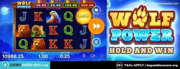 Play Wolf Power: Hold and Win by Playson