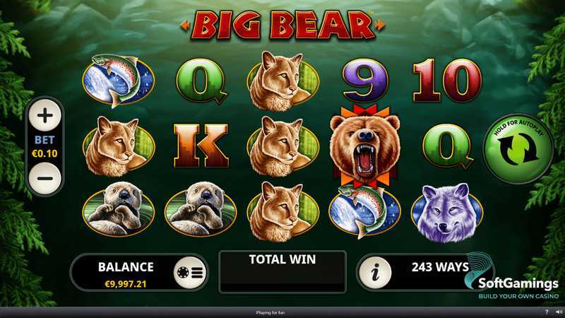 Play Big Bear by Playtech