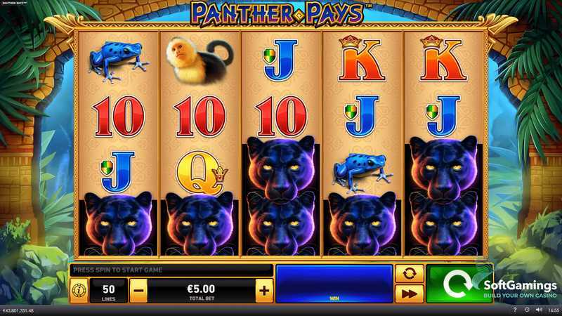 Play Panther Pays by Playtech