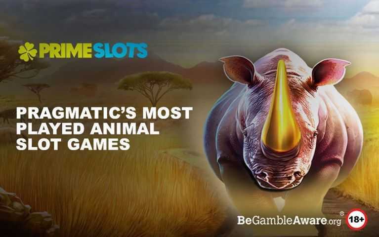 Play Animal Magic 1000 by Pragmatic Play