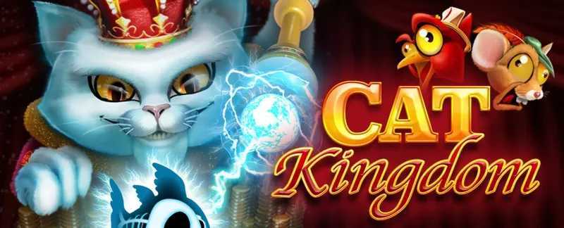 Play Cat Kingdom by Radi8