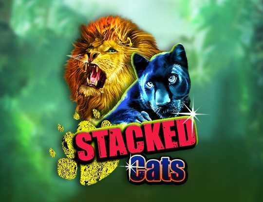 Play Stacked Cats by Ready Play Gaming