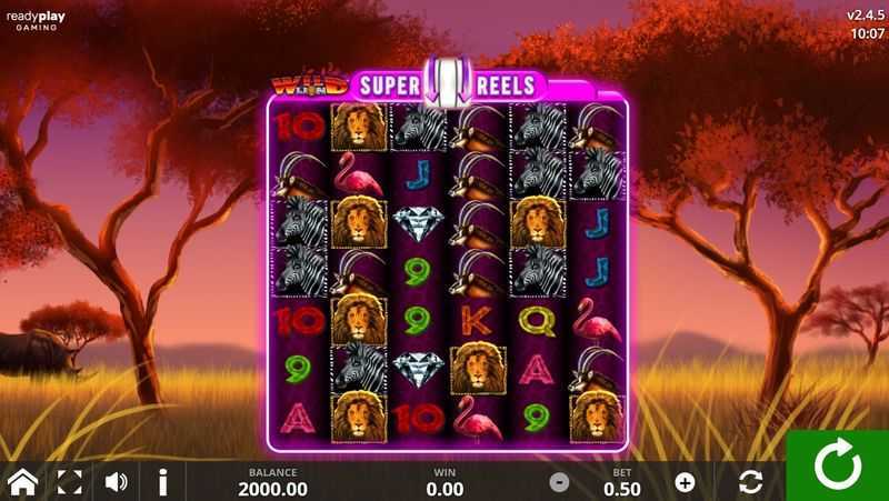 Play Wild Lion Super Reels by Ready Play Gaming