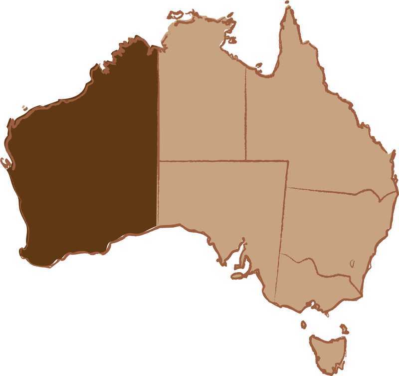 Play Aussie Adventure by Realistic