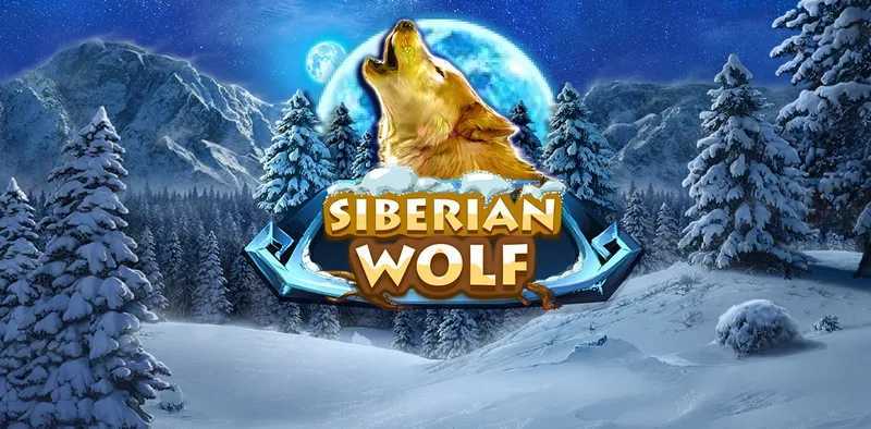 Slot Siberian Wolf