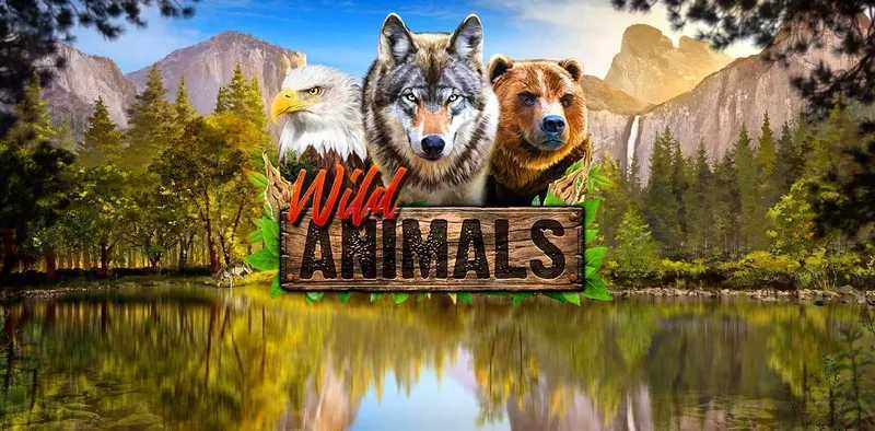 Play Wild Animals by Red Rake