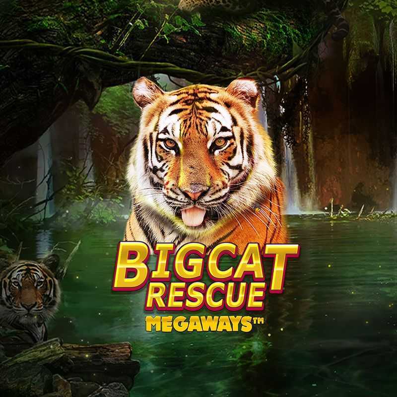 Slot Big Cat Rescue Megaways