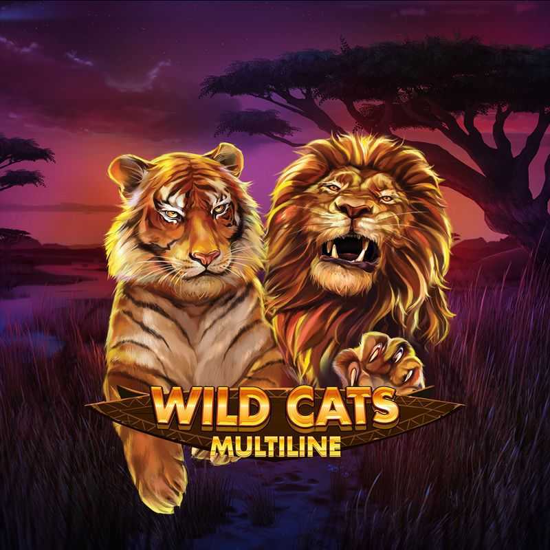 Play Wild Cats Multiline by Red Tiger