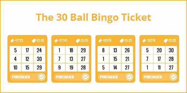 Play Bingo 30 Ball by Rival Gaming