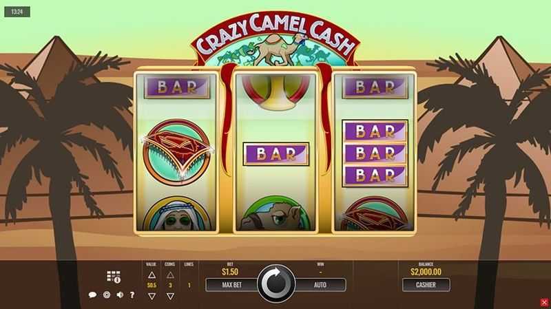 Play Crazy Camel Cash by Rival Gaming