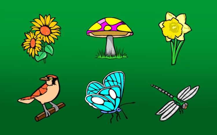 Play Secret Garden by Rival Gaming