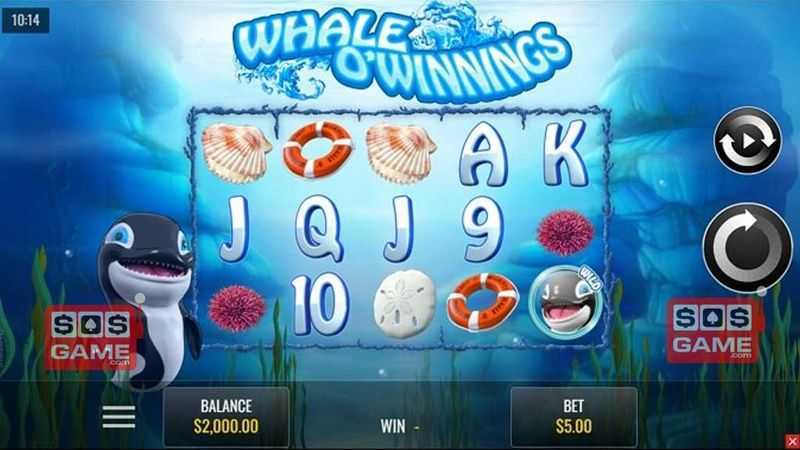 Slot Whale O' Winnings