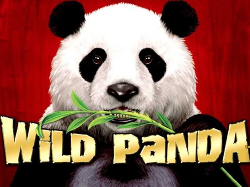 Play Wild Panda by Royal Slot Gaming