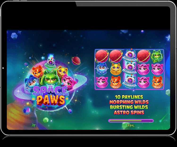 Play Space Paws by Rtg