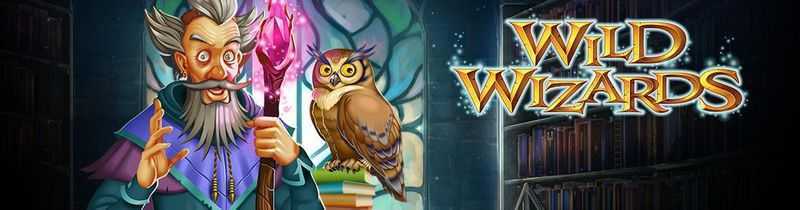 Play Wild Wizards by Rtg