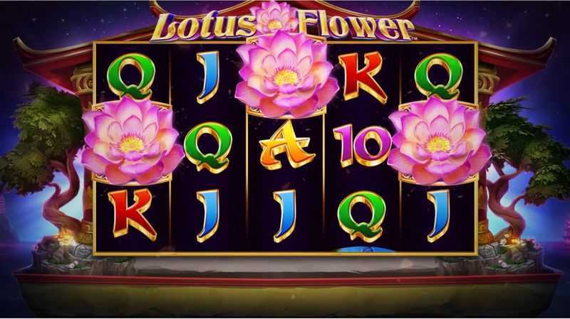 Play Lotus Beauty by Slot Factory