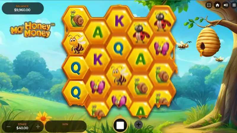 Play Honey Money by Spin Games