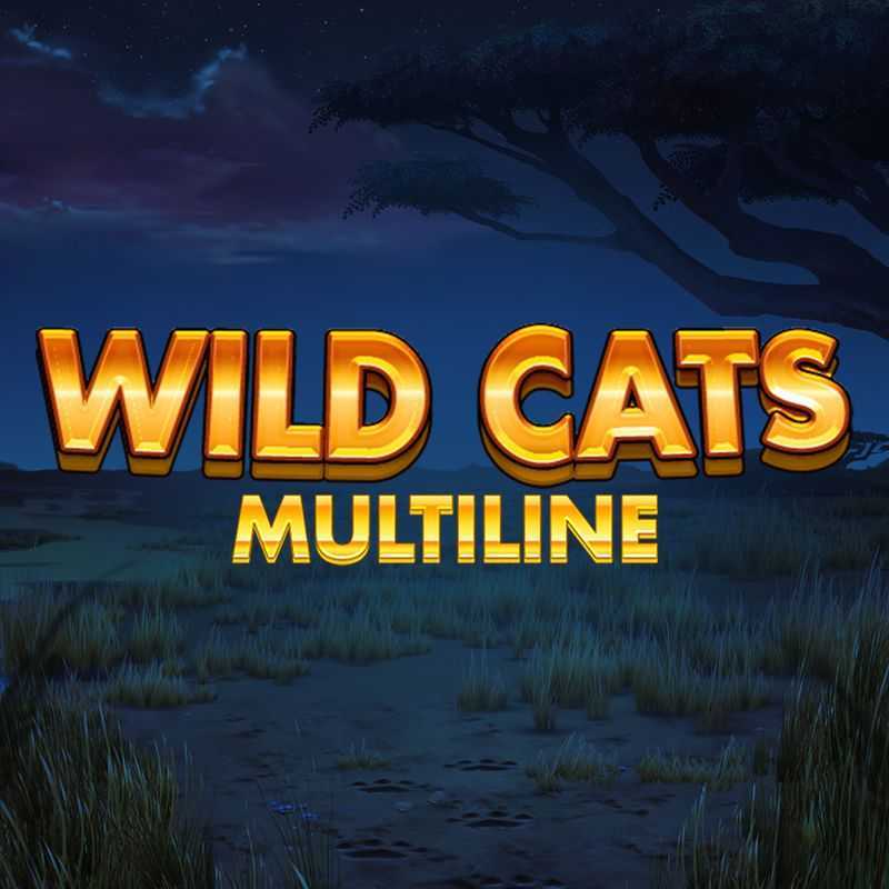 Play Wild Cat by Spinmatic