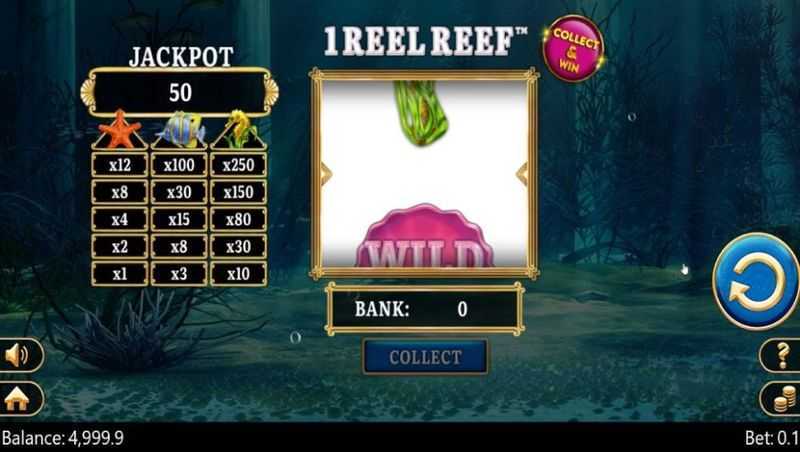 Play 1 Reel Reef by Spinomenal