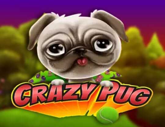 Play Crazy Pug by Swintt