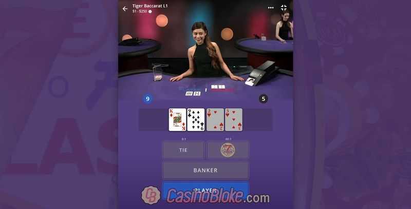 Play Tiger Bonus Baccarat by Swintt