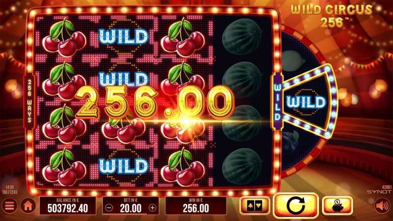 Slot Wild Circus 256