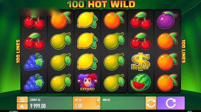 Play Hot Wild 5 by Tech4bet