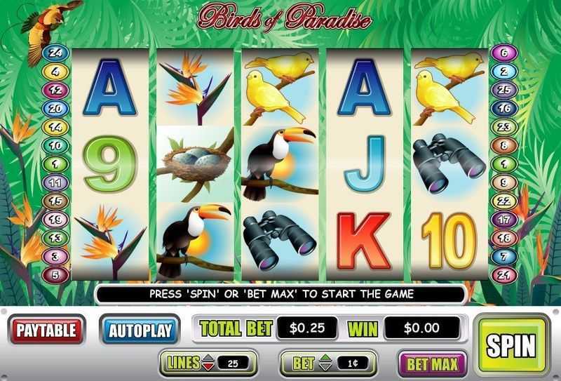 Play Birds Of Paradise by Wager Gaming