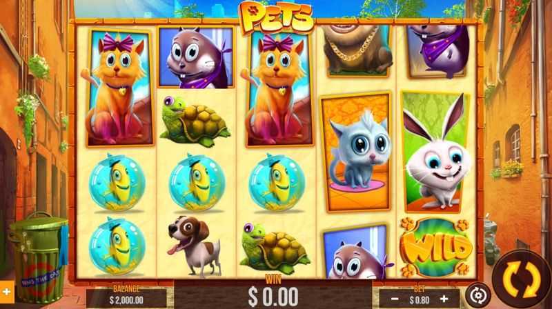 Play Pets by Wizard Games